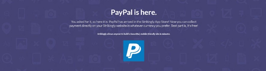 null PayPal